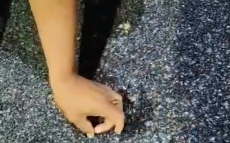 ୧୪ କୋଟି ର ରାସ୍ତା କାମ ନ ସରୁଣୁ ରାସ୍ତାରୁ ଉଠିଗଲାଣି ପିଚୁ