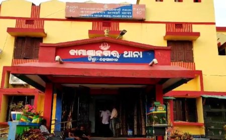 ସାପ୍ତାହିକ ହାଟରୁ ଚୋରୀ ବେଳେ ଚୋର ଜ୍ୟାଙ୍ଗର ସର୍ଦ୍ଧାର ଗିରଫ,