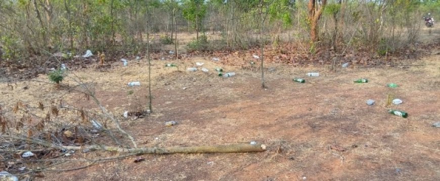 ପଲି ସାମନ୍ତରା ପୁର ସଂରକ୍ଷିତ ଜଙ୍ଘଲ ଗଛ କଟା ଚାଲି ଥିବା ବେଳେ ବନ ବିଭାଗ ସାଜିଛି ନିଦା ବ୍ରିଷ୍ଣୁ,,