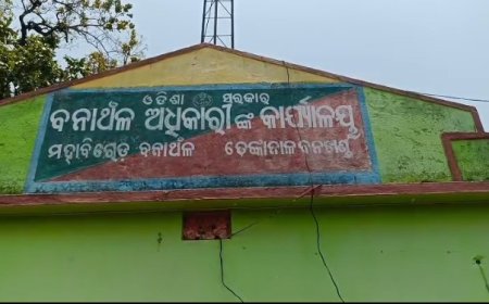 କାଠ ବୋଝେଇ ଟ୍ରକ ଜବତ, ଡ୍ରାଇଭର ସମେତ ୨ ଗିରଫ।