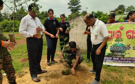 ଏନ୍ ସି ସି ପକ୍ଷରୁ ମାଆ ପାଇଁ ଗଛଟିଏ କାର୍ଯ୍ୟକ୍ରମ।