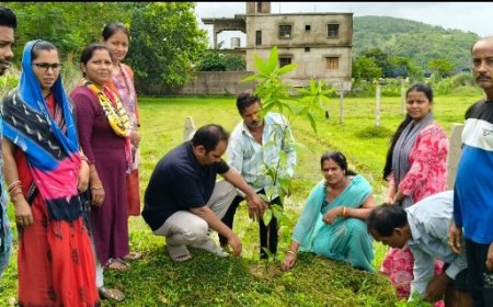 ଉଦୀୟମାନ ସବୁଜ ବାହିନୀ ପକ୍ଷରୁ  ବନ ମହୋତ୍ସବ ସପ୍ତାହ ପାଳନ।