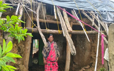 ଲଗାଣ ବର୍ଷାରେ ବିଧବା ମହିଳାଙ୍କ ଘର ଭୁଶୁଡ଼ିଲା, ସରକାରୀ ସହାୟତା ଦାବି,,