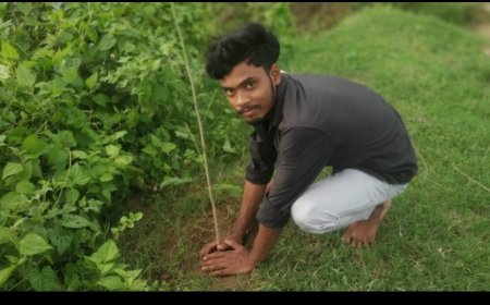 ଉତ୍ସାହୀ ଯୁବକ ମାନଙ୍କର ପରିବେଶ ସୁରକ୍ଷା ପାଇଁ ବୃକ୍ଷରୋପଣ।
