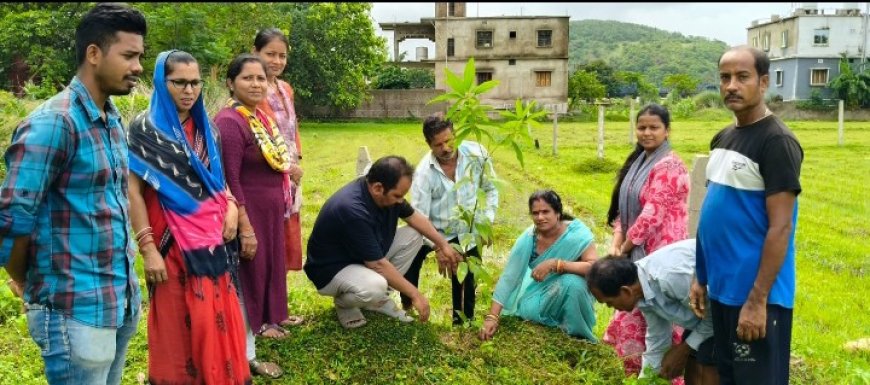 ଉଦୀୟମାନ ସବୁଜ ବାହିନୀ ପକ୍ଷରୁ  ବନ ମହୋତ୍ସବ ସପ୍ତାହ ପାଳନ।
