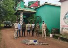 ହାତୀ ମୃତ୍ୟୁ ଘଟଣାରେ କାର୍ଯ୍ୟାନୁଷ୍ଠାନ।