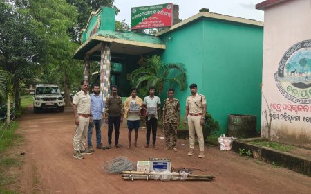 ହାତୀ ମୃତ୍ୟୁ ଘଟଣାରେ କାର୍ଯ୍ୟାନୁଷ୍ଠାନ।